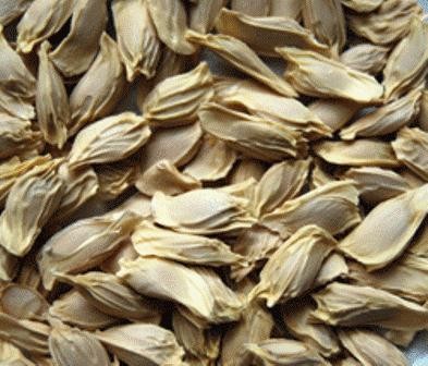 Tác dụng chữa bệnh của hạt bưởi